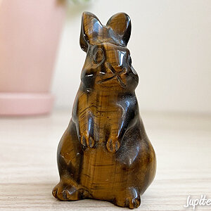 rabbit-stone-tiger-c